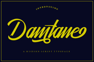 Damtane: A Versatile Script Font for Modern Design