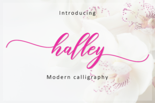 Halley Script: A Delightful Handwritten Font