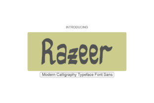 Razeer: The Playful and Charming Font That’s Changing the Game